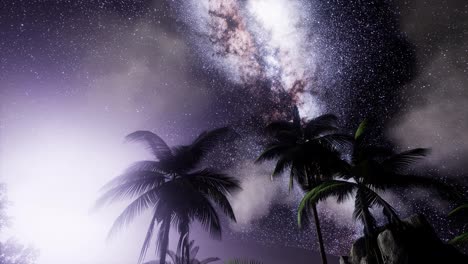 Galaxia-De-La-Vía-Láctea-Sobre-La-Selva-Tropical